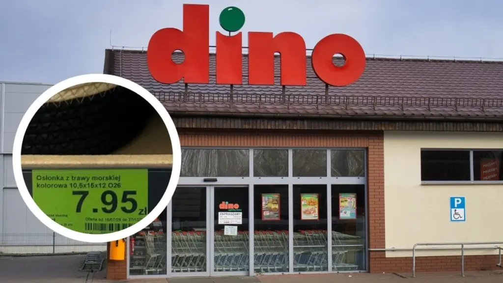 Dino Fonott Kaspók : Miért Tűnik el 2 990 Ft Alatt a Polcokról Ez a Tengeri Fűből Készült Dekoráció